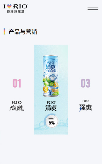 上海巴克斯酒業有(yǒu)限(xian)公(gōng)司（銳澳）網站案例圖片1